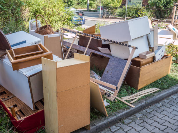 Best Basement Cleanout Services  in Toro Nyon, CA