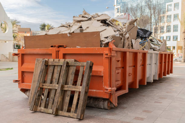 Best Attic Cleanout Services  in Toro Nyon, CA